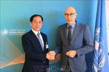 El ministro de Relaciones Exteriores de Vietnam, Bui Thanh Son, y el alto comisionado de las Naciones Unidas para los Derechos Humanos, Volker Turk. (Fuente: VNA)