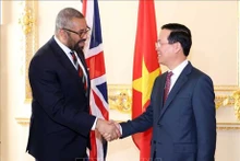 El presidente de Vietnam, Vo Van Thuong, se reúne con el secretario de Relaciones Exteriores de Reino Unido, James Cleverly (Fuente: VNA)