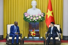 El presidente de Vietnam, Luong Cuong (derecha) recibe al ministro de Asuntos Exteriores, Integración Regional y Togoleses en el Exterior de Togo, Robert Dussey. (Foto: Nhan Dan)