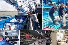 El Tratado de Libre Comercio Unión Europea-Vietnam (EVFTA) ha ayudado a acelerar la recuperación de las exportaciones de Vietnam a la UE. (Foto: VNA)