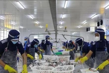 En una fábrica de An Giang (Foto: VNA) 