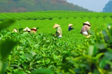 Foto ilustrativa (Fuente: congthuong.vn)
