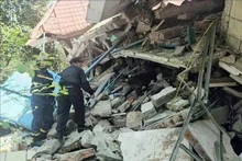 Rescatistas del Ministerio de Seguridad Pública de Vietnam utilizan perros rastreadores para buscar víctimas en un edificio en la ciudad de Zabuthari, Naypyidaw, capital de Myanmar. (Foto: VNA)