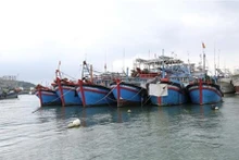 Provincia vietnamita por explotar 124 mil toneladas de productos marítimos en 2023