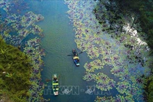 Ninh Binh: un destino atractivo para los turistas. (Foto: VNA)