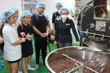 Sabor del auténtico chocolate vietnamita atrae a visitantes a la región del suroeste