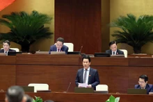 El ministro vietnamita de Recursos Naturales y Medio Ambiente, Dang Quoc Khanh, interviene en la sesión. (Foto: VNA)