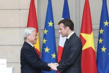 El secretario general del PCV, Nguyen Phu Trong, y el presidente francés, Emmanuel Macron, se reúnen en la visita oficial a Francia en 2018 (Fuente: VNA)