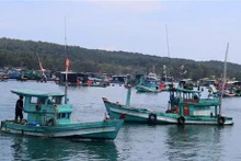 Barcos pesqueros en las aguas de An Thoi, ciudad de Phu Quoc (Kien Giang). (Foto: VNA)