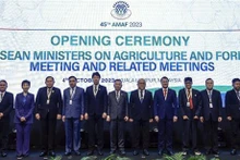 Los ministros de Agricultura y Silvicultura de Asean. (Fuente: VNA)