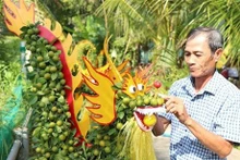 Un árbol de kumquat con forma de dragón (Foto: VNA)