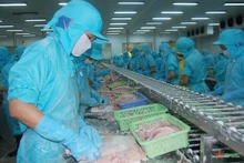Vietnam se posiciona como el quinto mayor proveedor de productos del mar a Singapur