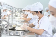 Vietnam exportará pronto primer loto de nido de golondrina a China