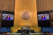 La ministra consejera Le Thi Minh Thoa, subjefa de la delegación permanente de Vietnam ante las Naciones Unidas, habla en la reunión (Fuente: VNA)