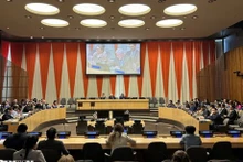 El Consejo Económico y Social de las Naciones Unidas (ECOSOC) eligió el 9 de abril a Vietnam como miembro del Consejo Ejecutivo de la Entidad de la ONU para la Igualdad de Género y el para el período 2025-2027. (Fuente:VNA)