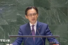 El viceministro de Relaciones Exteriores vietnamita Do Hung Viet (Fuente: VNA)
