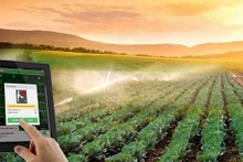 Vietnam promueve aplicación de tecnología para agricultura sostenible (Fuente: nongnghiep.vn)