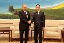 El presidente de Vietnam, Vo Van Thuong, y su homólogo de Uzbekistán, Shavkat Mirziyoyev (Foto: VNA)