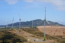 Parque eólico Mui Dinh, en la provincia central de Ninh Thuan (Fuente: VNA)