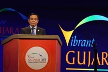 El viceprimer ministro de Vietnam Tran Luu Quang interviene en la cita (Foto: VNA)