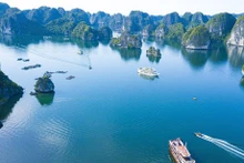Bahía de Ha Long- archipiélago de Cat Ba: Patrimonio Natural Mundial