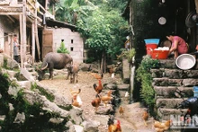 La aldea de Khuoi Ky, un destino atractivo en la provincia de Cao Bang