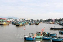 Barcos en el puerto pesquero de Phan Thiet (Binh Thuan). Foto VNA