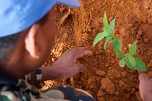 Medio ambiente y recursos naturales: víctimas silenciosas de conflictos 