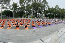 Provincia vietnamita de Dong Thap celebra Día Internacional de Yoga.