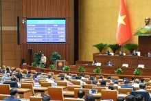 Panorama de la sesión (Foto: https://quochoi.vn/)