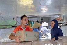 La exportación de caña de azúcar fresca a EE.UU (Fuente: VNA)