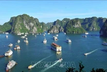 La Bahía de Ha Long (Foto: VNA)