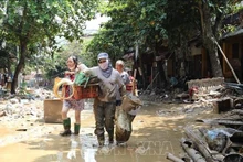 Nueva Zelanda hace donación a Vietnam para superar consecuencias del tifón Yagi