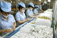 Fabricación de electrodomésticos en el Parque Industrial Vietnam-Singapur (VSIP) en la ciudad de Tan Uyen, provincia de Binh Duong. (Fuente:VNA)