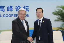 El presidente vietnamita, Vo Van Thuong, se reúne con el secretario general de la ONU, António Guterres. (Foto: VNA)