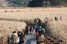 Turistas en Jeolla del Sur. (Fuente: Internet)