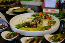 Establecen récord vietnamita de 100 deliciosos platos elaborados a partir de alcachofas