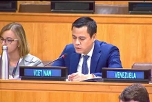 El embajador Dang Hoang Giang, jefe de la misión permanente del país indochino ante las Naciones Unidas (ONU), interviene en la sesión de debate (Fuente: VNA)