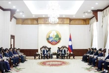 Panorama de la reunión (Foto: VNA)