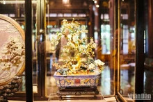 Abren exposición por centenario del Museo de Antigüedades de Ciudadela Imperial de Hue.