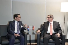 El viceprimer ministro y titular de Relaciones Exteriores de Vietnam, Bui Thanh Son, en el encuentro con el ministro de Relaciones Exteriores de Cuba, Bruno Rodríguez (Fuente: VNA)