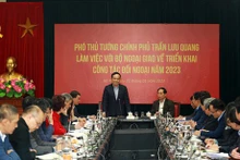 El viceprimer ministro Tran Luu Quang trabaja con el Ministerio de Relaciones Exteriores. (Fotografía: VGP)