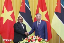 El secretario general del Partido Comunista y presidente de Vietnam, To Lam (derecha), recibe al presidente de Mozambique, Filipe Jacinto Nyusi. (Foto: VNA)