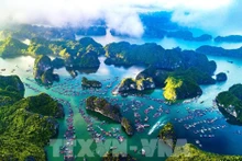 Cat Ba vista desde arriba. (Fuente: VNA)