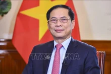 El viceprimer ministro y canciller vietnamita, Bui Thanh Son. (Fuente: VNA)