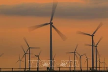 Planta de energía eólica de Bac Lieu (Foto: VNA)