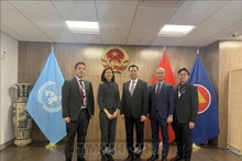 El embajador Dang Hoang Giang, jefe de la misión permanente de Vietnam ante la ONU (centro) y la coordinadora residente de la ONU en Hanói, Pauline Tamesis (Fuente: VNA)