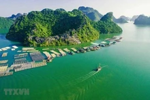Una granja pesquera flotante en el distrito insular de Cat Ba, en la ciudad norteña de Hai Phong. (Foto: VNA)