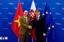 El embajador vietnamita en Eslovaquia, Pham Truong Giang, y el primer viceministro de Asuntos Políticos y Europeos, Marek Estok. (Fuente: VNA)