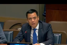 El embajador Dang Hoang Giang, jefe de la misión permanente de Vietnam ante la ONU (Foto: VNA)